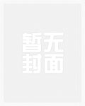 穿越王者：聊天室里的英雄传奇
